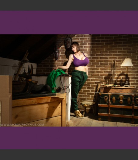 Autographed Print MC Bourbonnais - Attic Antics Introduction - THE WHOLE SET (11 prints) Autographed Print MC Bourbonnais - Attic Antics Introduction - THE WHOLE SET (11 prints)